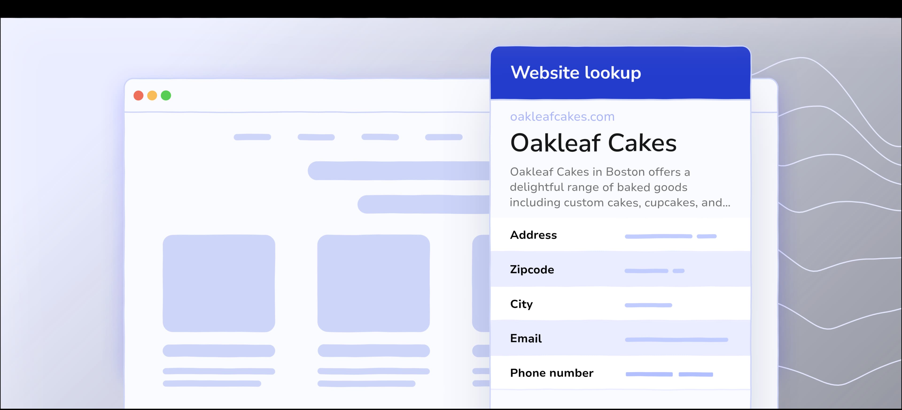 web lookup function